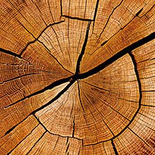 Holz - Kreativität und Stärke