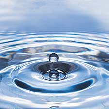 Wasser - Erfrischung und Stärke, Quelle allen Lebens