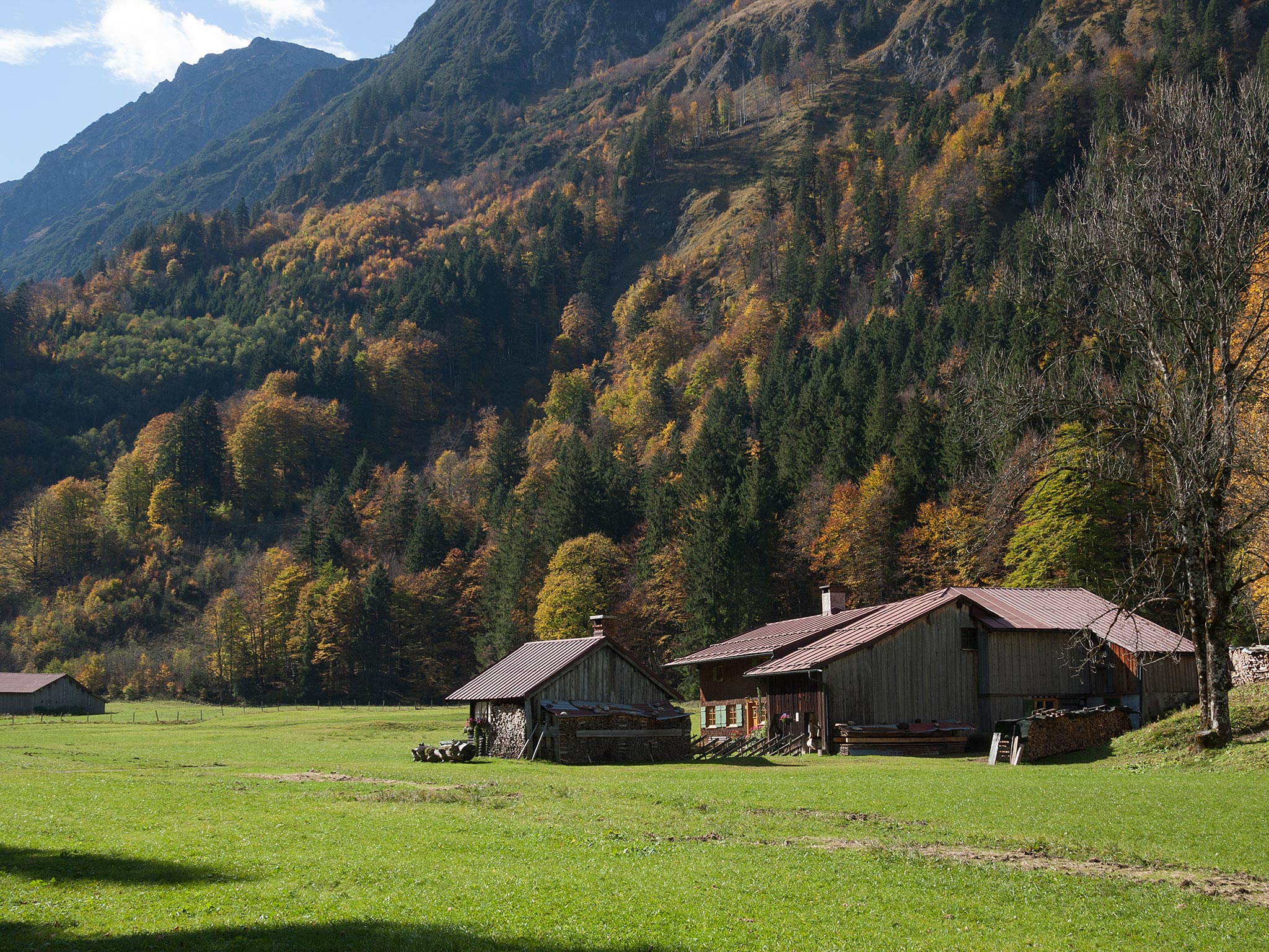 Herbst im Trettachtal