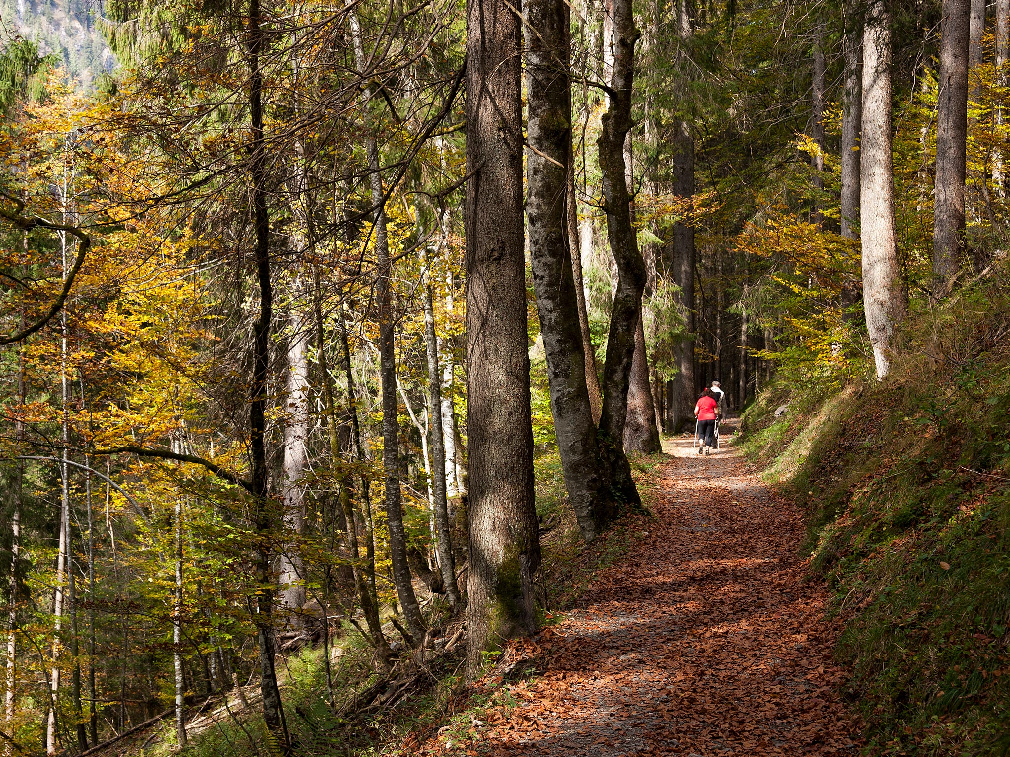 Herbstwanderung im Trettachtal